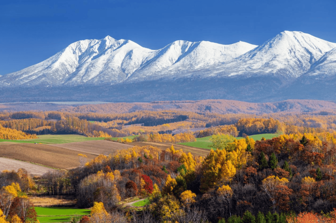 全球14个最令人惊叹的岛屿开元棋牌网站终极海岛榜单:(图23) 全球14个最令人惊叹的岛屿开元棋牌网站终极海岛榜单:(图23)