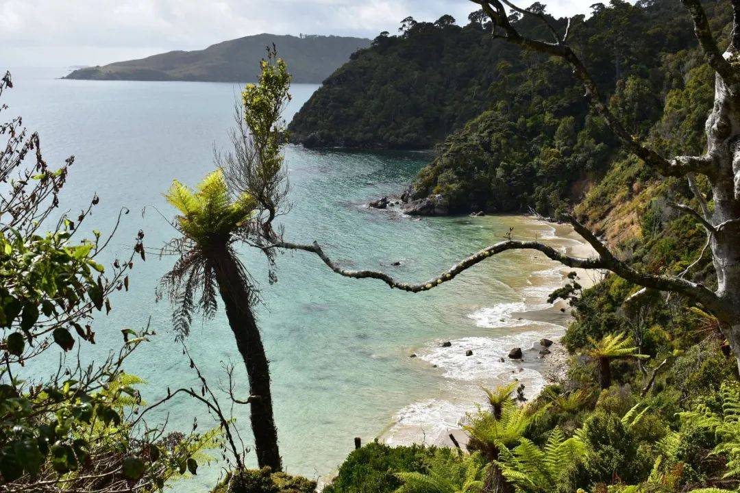 全球14个最令人惊叹的岛屿开元棋牌网站终极海岛榜单:(图24) 全球14个最令人惊叹的岛屿开元棋牌网站终极海岛榜单:(图24)