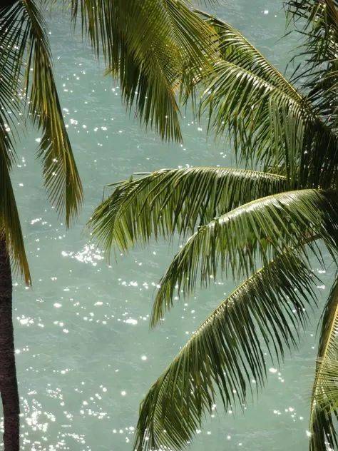 全球14个最令人惊叹的岛屿开元棋牌网站终极海岛榜单:(图28) 全球14个最令人惊叹的岛屿开元棋牌网站终极海岛榜单:(图28)